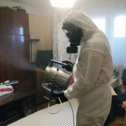 Дезинфекция от клопов в Гвардейске
