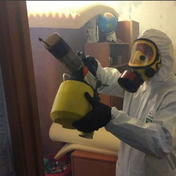 Уничтожение клопов в квартире. Гвардейск